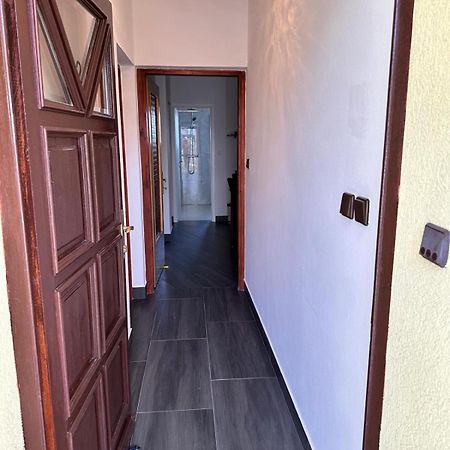 Apartman Nikola Salatić Dış mekan fotoğraf